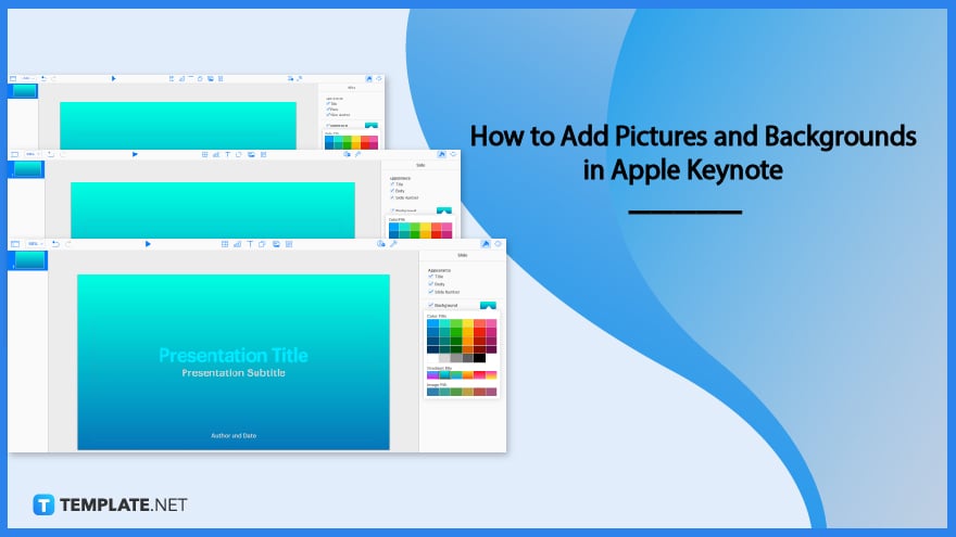 how-to-add-pictures-and-backgrounds-in-apple-keynote