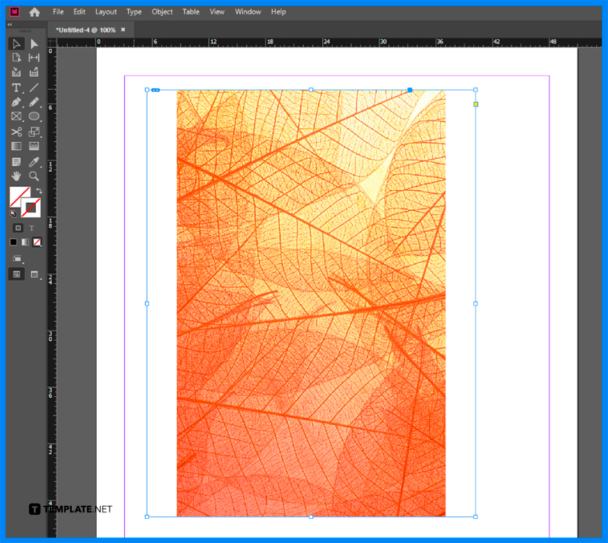 how to add a picture in adobe indesign step