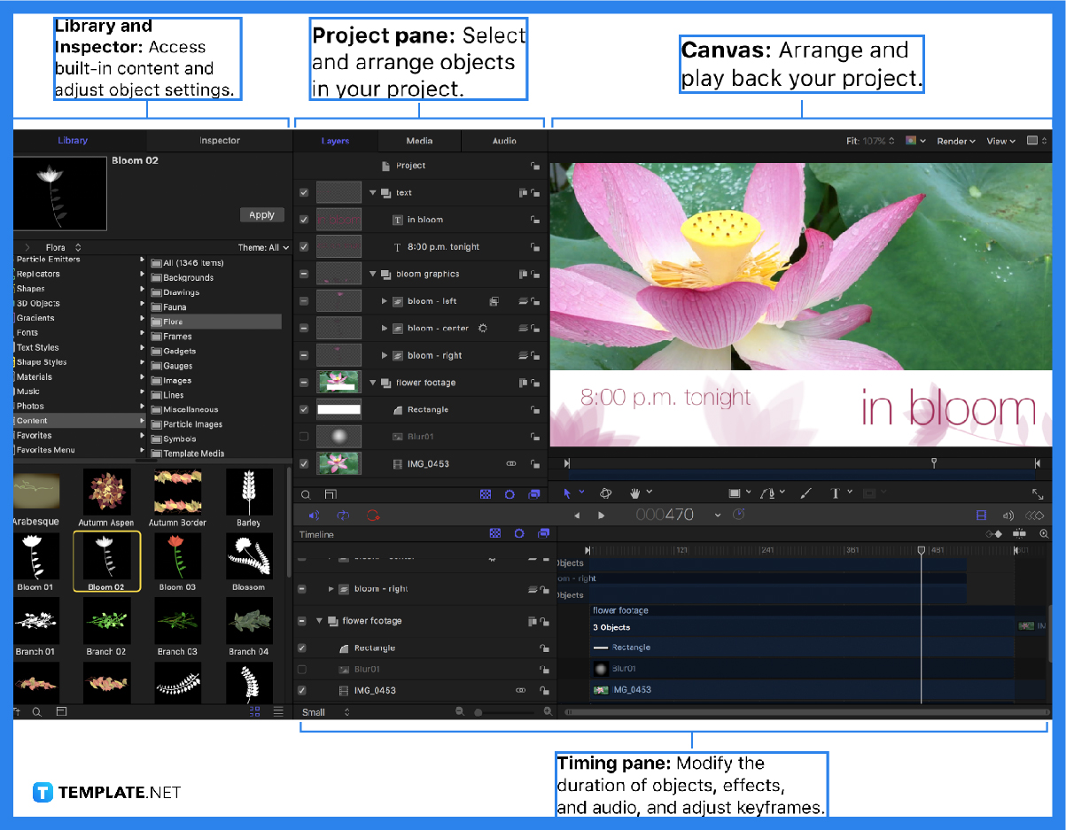 How to Change Colors in Apple Motion
