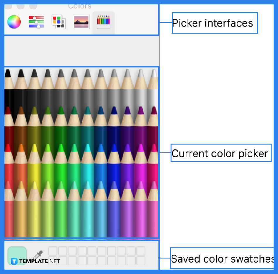 How to Change Colors in Apple Motion