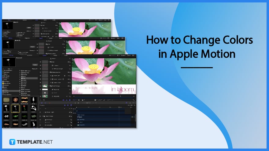 how-to-change-colors-in-apple-motion