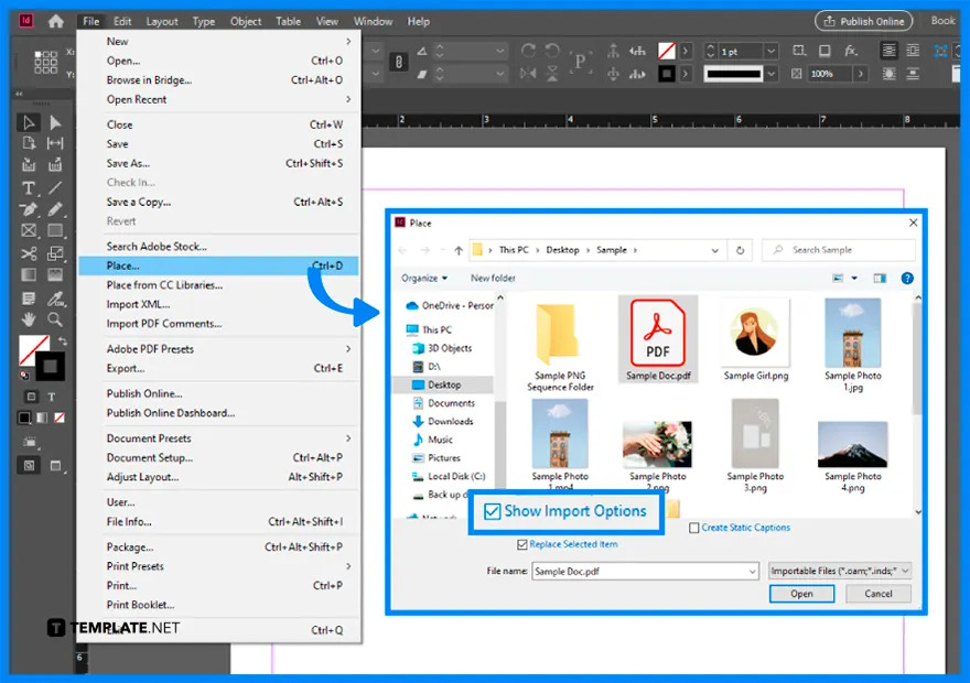 how to convert pdf to adobe indesign step 10