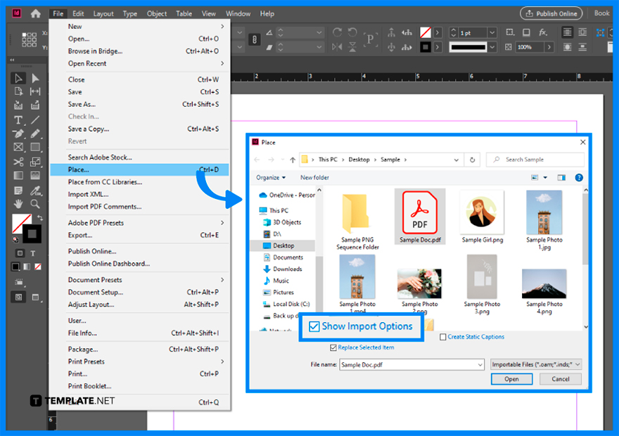 How to Convert PDF to Adobe InDesign