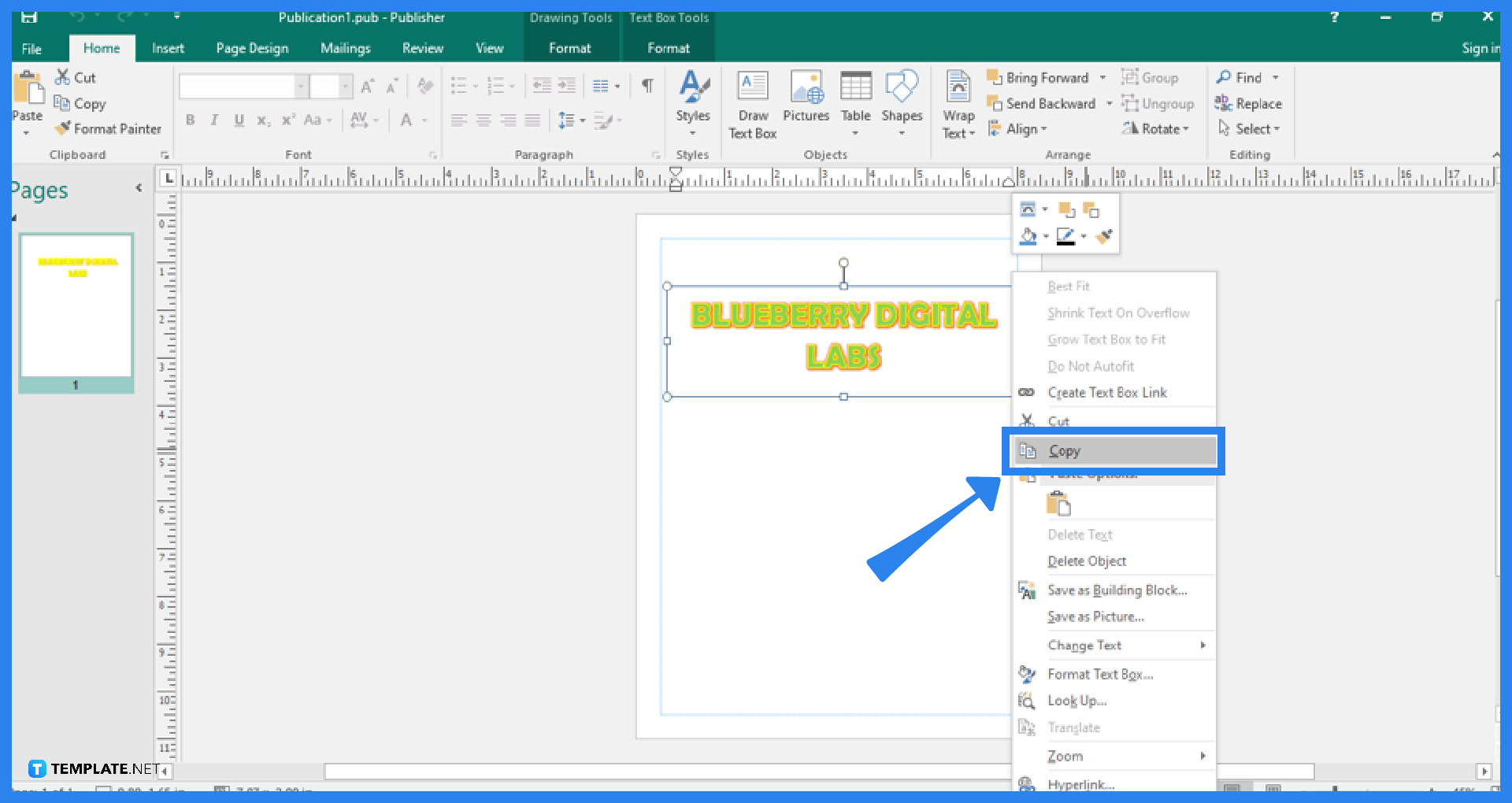 how to copy and paste objects in microsoft publisher step 0