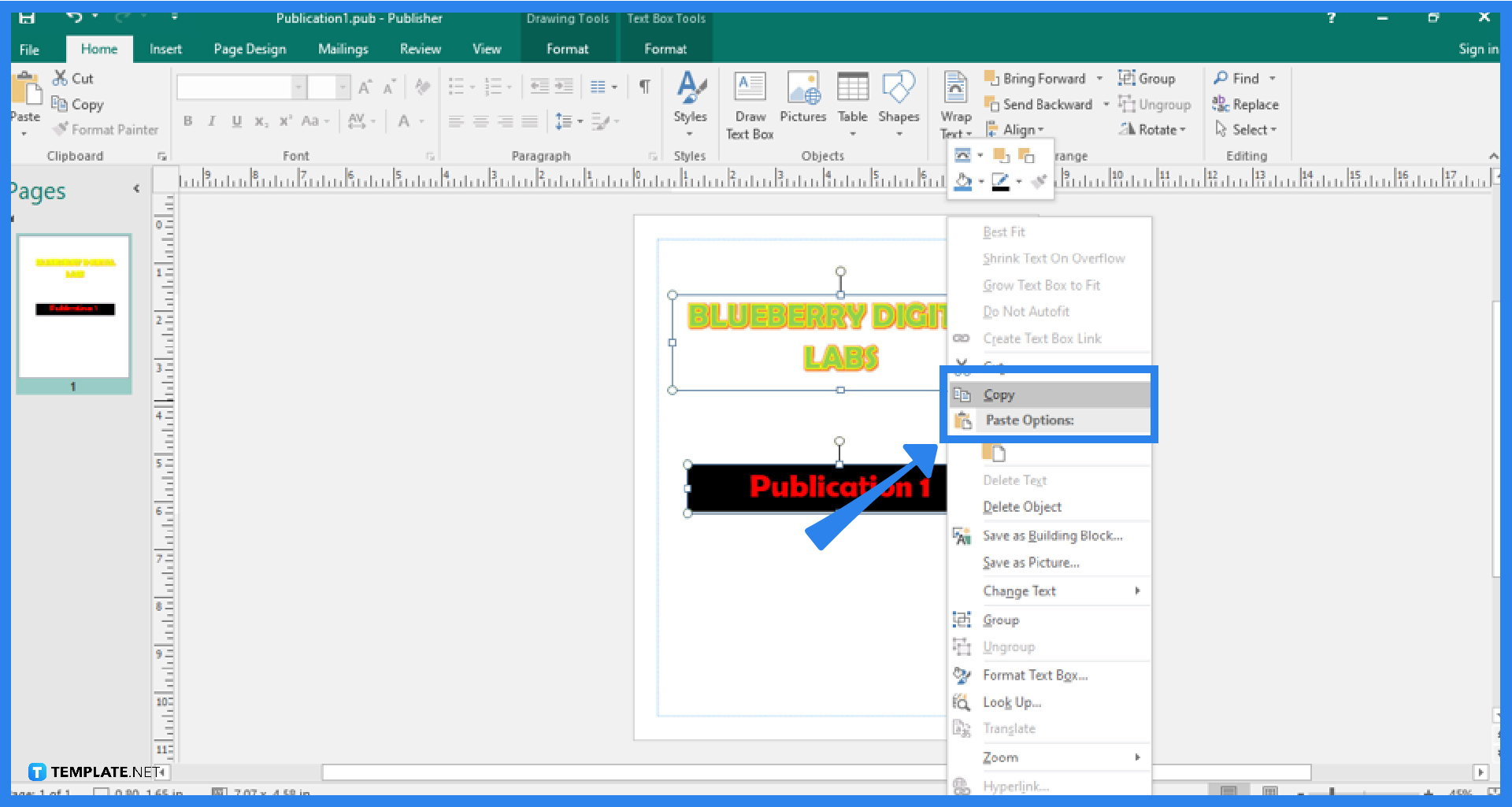 how to copy and paste objects in microsoft publisher step 0