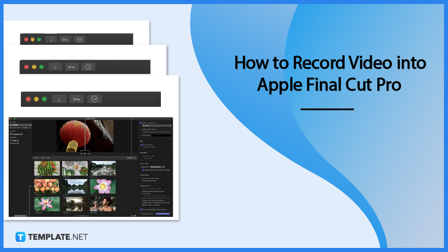 how-to-create-camera-archives-in-apple-final-cut-pro