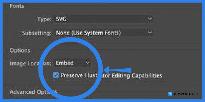 How to Create Specific SVG Outputs through Adobe Illustrator - Step 3