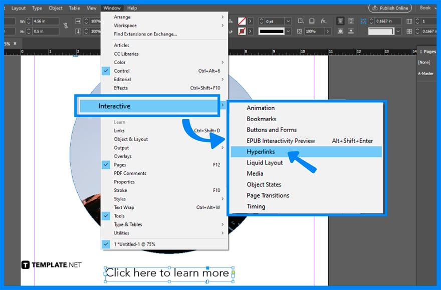 how-to-create-a-hyperlink-in-adobe-indesign-step-2