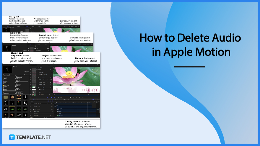 how-to-delete-audio-in-apple-motion