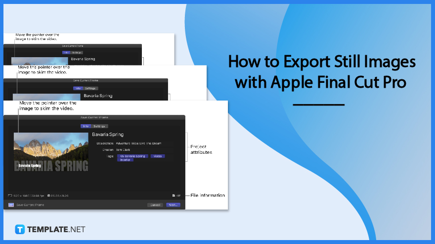 how-to-export-still-images-with-apple-final-cut-pro