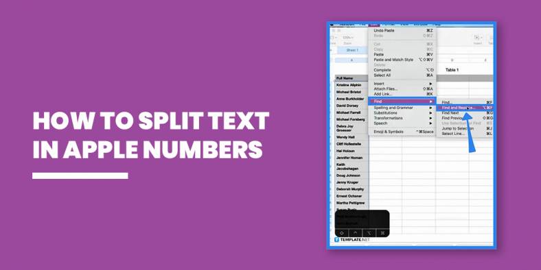 How to Split Text in Apple Numbers