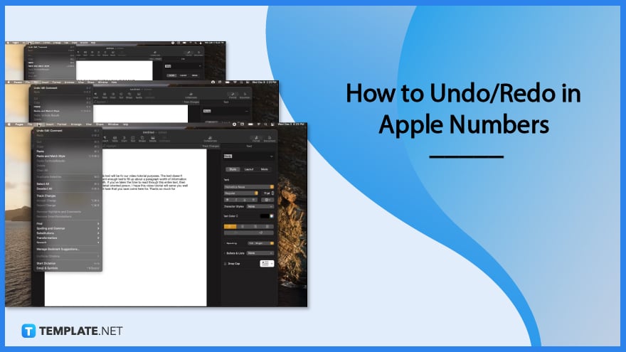 how-to-undoredo-in-apple-numbers