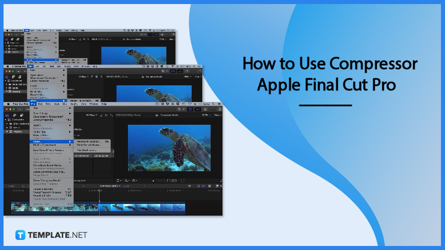 how-to-use-compressor-apple-final-cut-pro