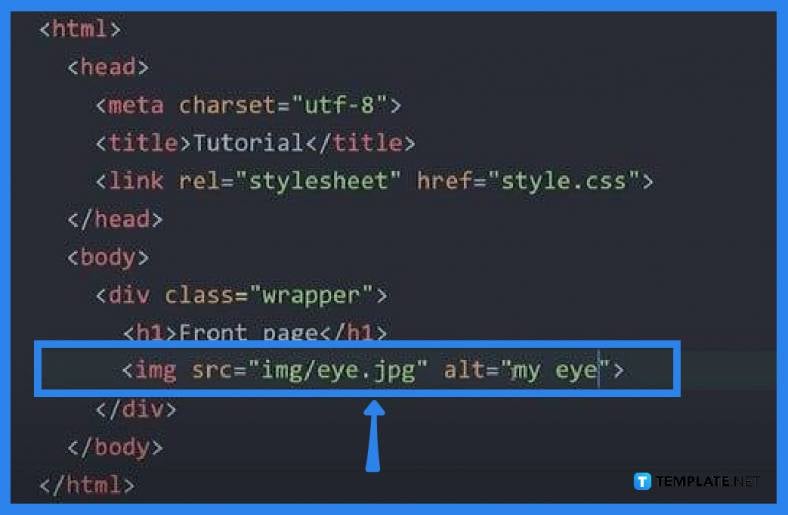 How to Use SVG Images in CSS and HTML - Step 3