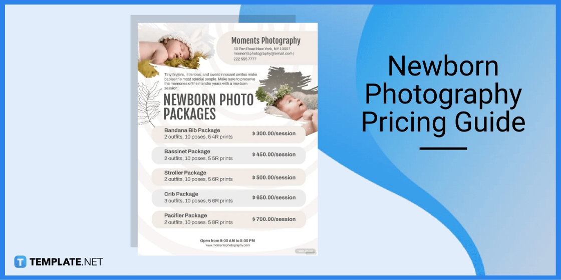newborn photography pricing guide template