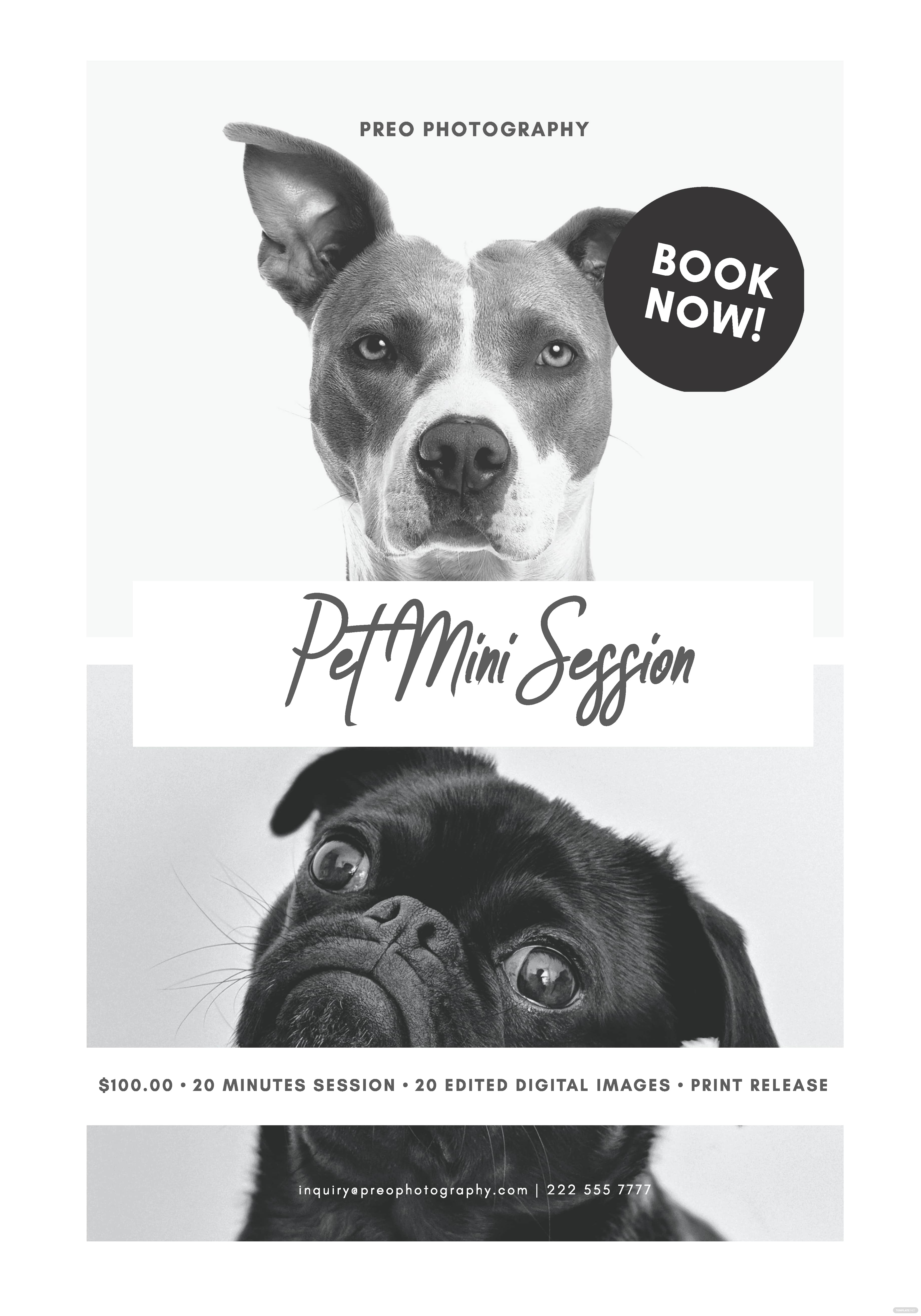 pet-mini-session-ideas-and-examples