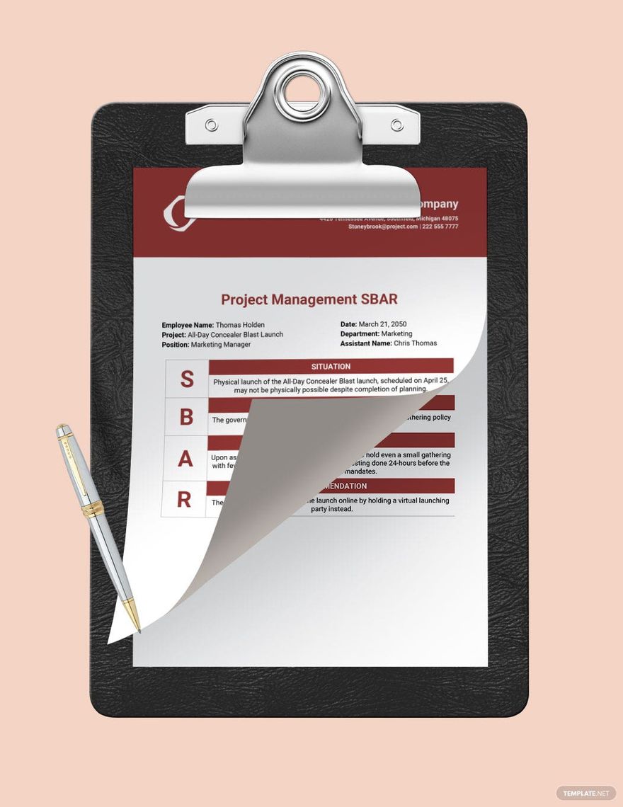 project management sbar ideas and examples