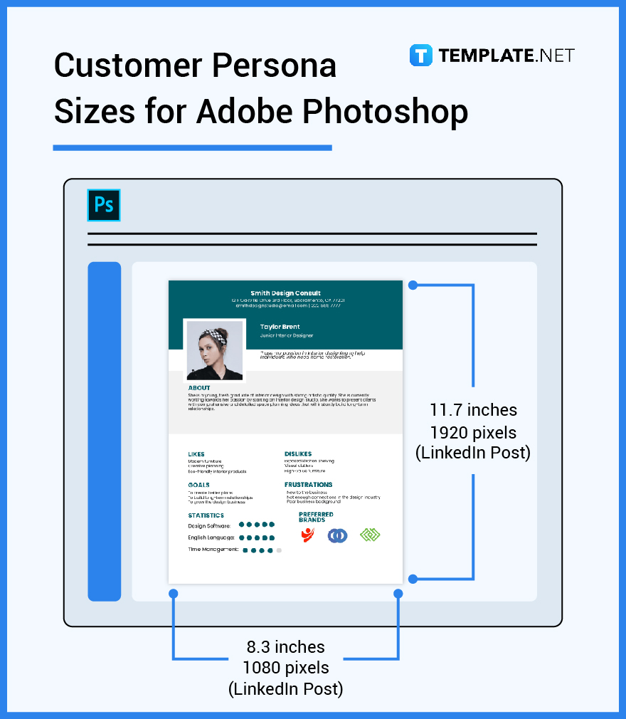 customer persona sizes for adobe photoshop