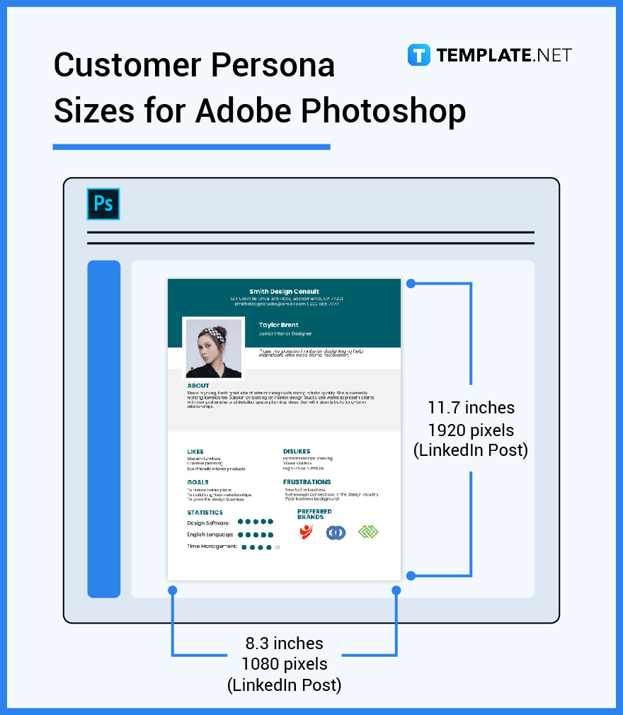 Customer Persona Size Dimension, Inches, mm, cms, Pixel