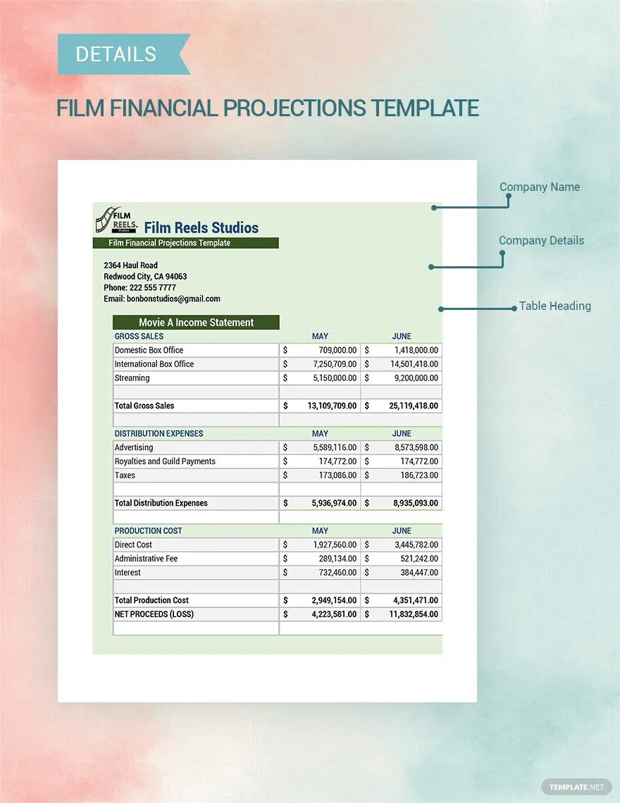 film financial projection ideas and examples