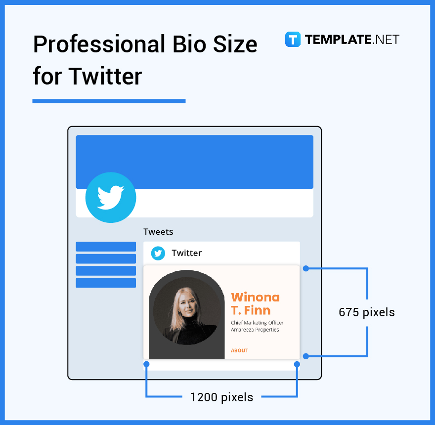 professional-bio-size-for-twitter