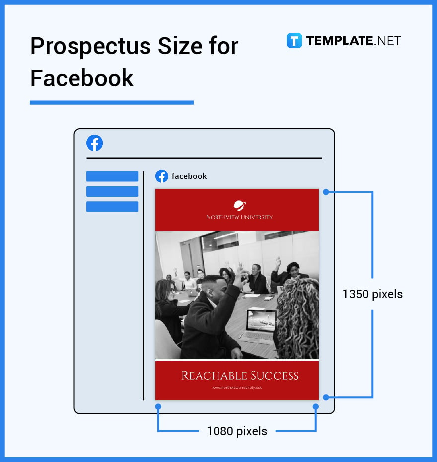 prospectus size for facebook