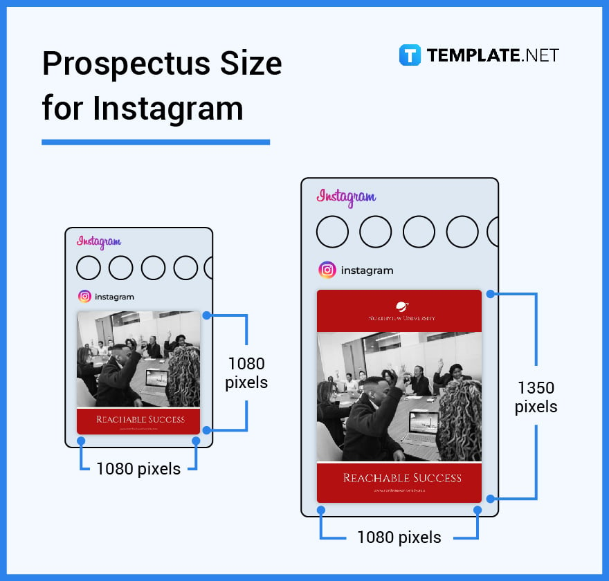 prospectus size for instagram