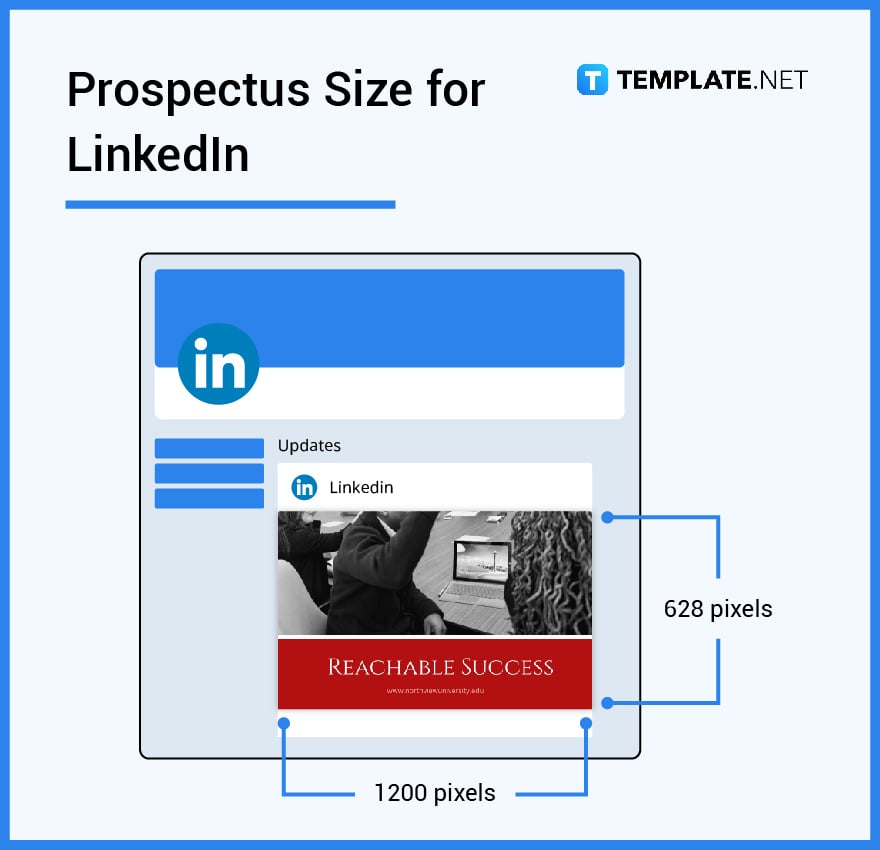 prospectus size for linkedin