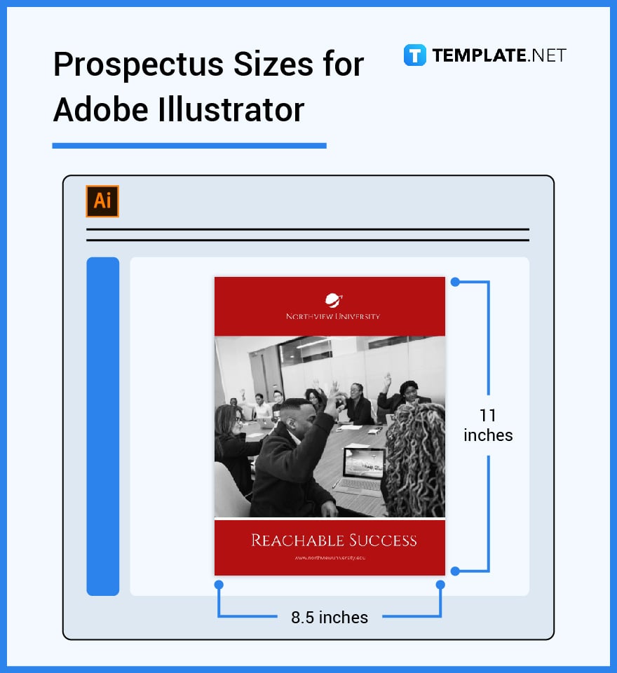 prospectus sizes for adobe illustrator
