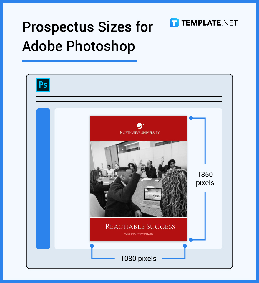 prospectus sizes for adobe photoshop