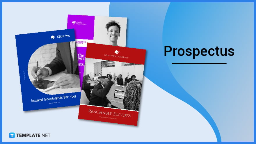 business meaning of prospectus