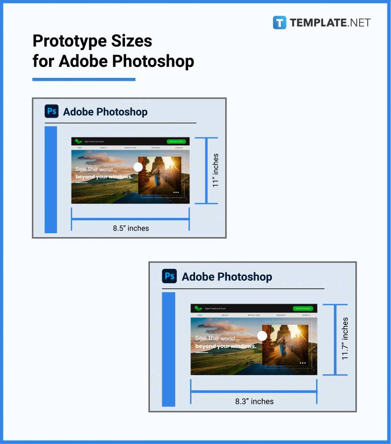 prototype sizes for adobe photoshop 788x