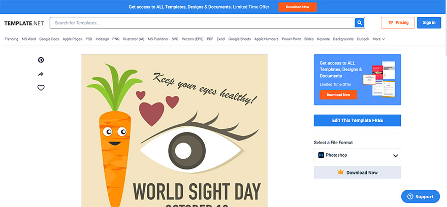 select the world sight day instagram post template