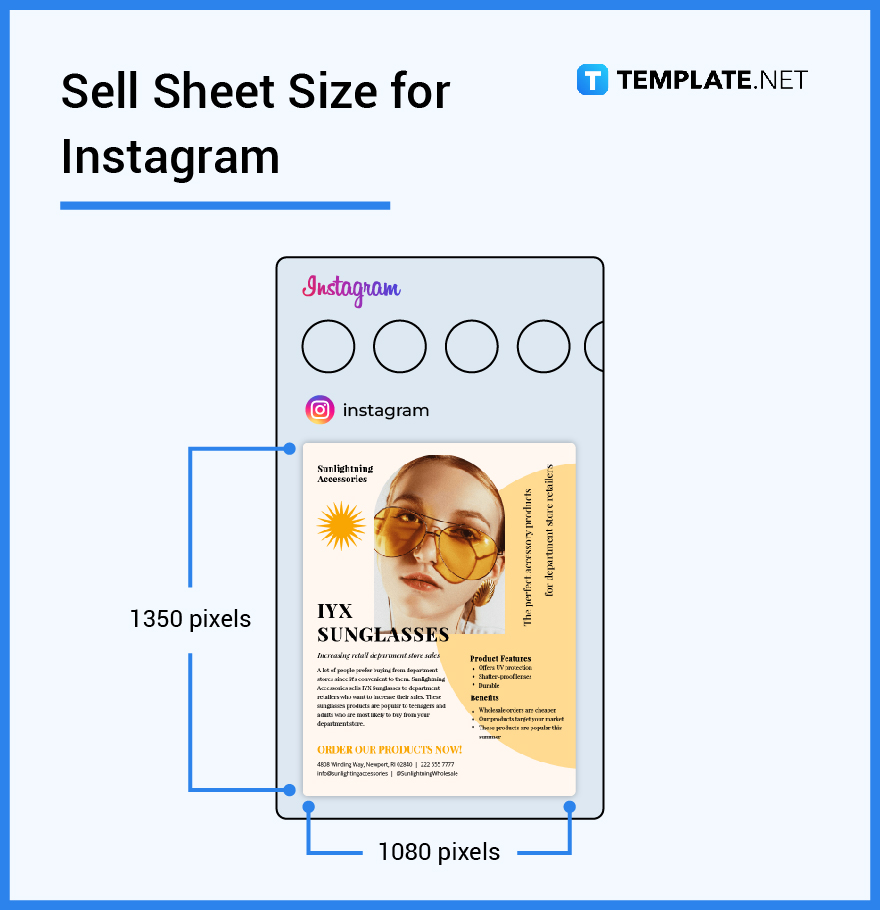 sell sheet size for instagram