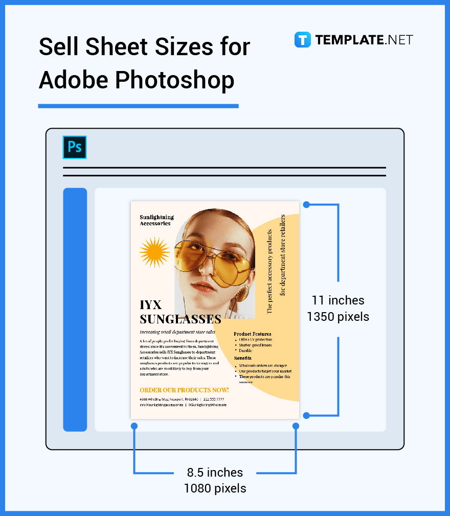 sell sheet sizes for adobe photoshop