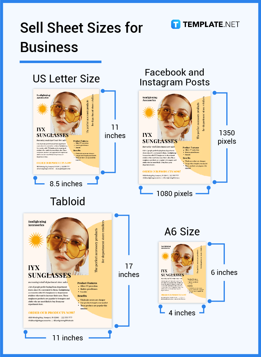 sell sheet sizes for business