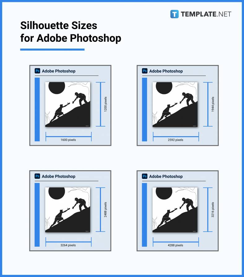 silhouette sizes for adobe photoshop 788x