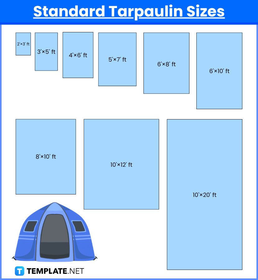 Tarpaulin Sizes