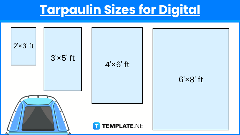 Tarpaulin Sizes