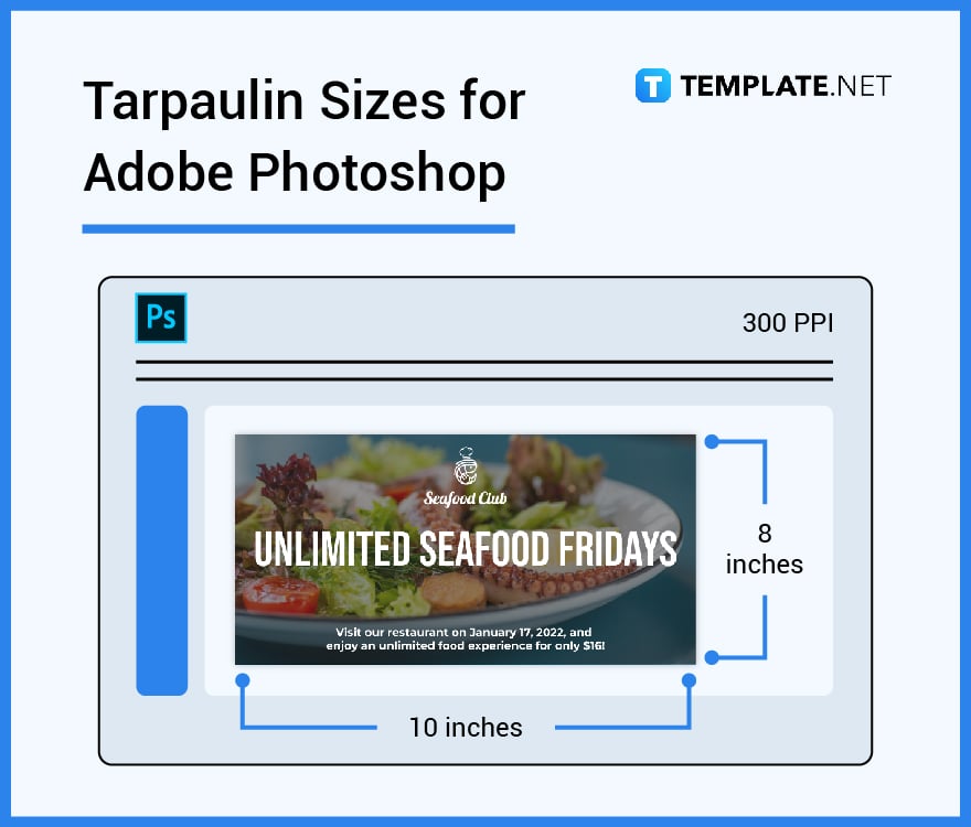 tarpaulin sizes for adobe photoshop