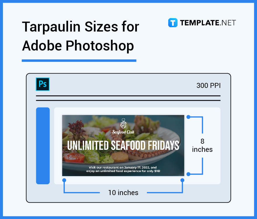 tarpaulin sizes for adobe photoshop