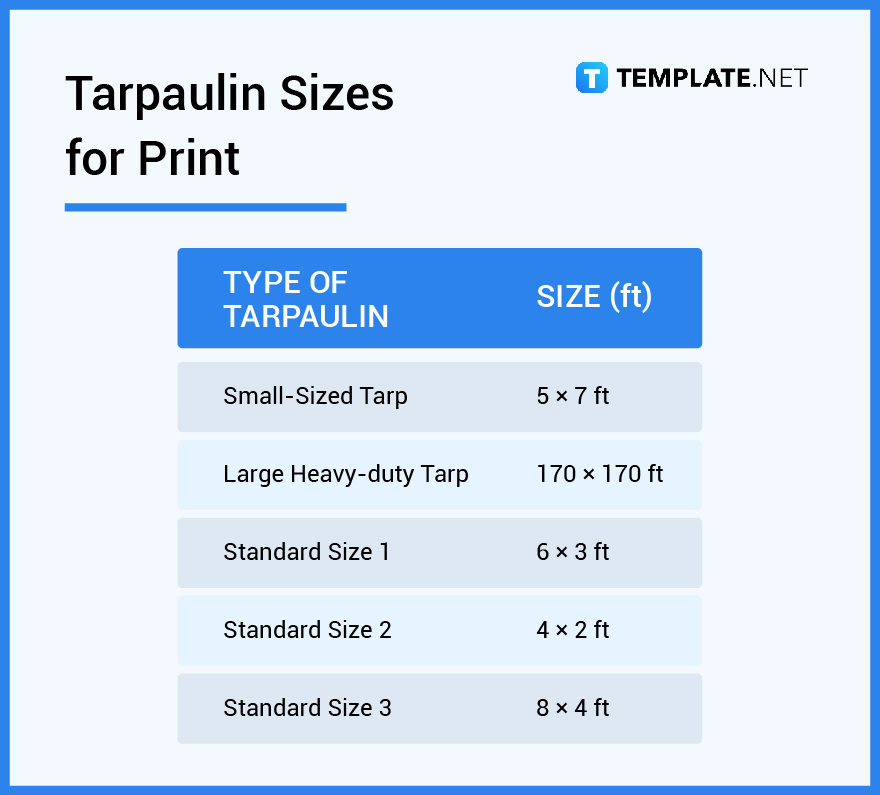 A Print Sizes In Inches