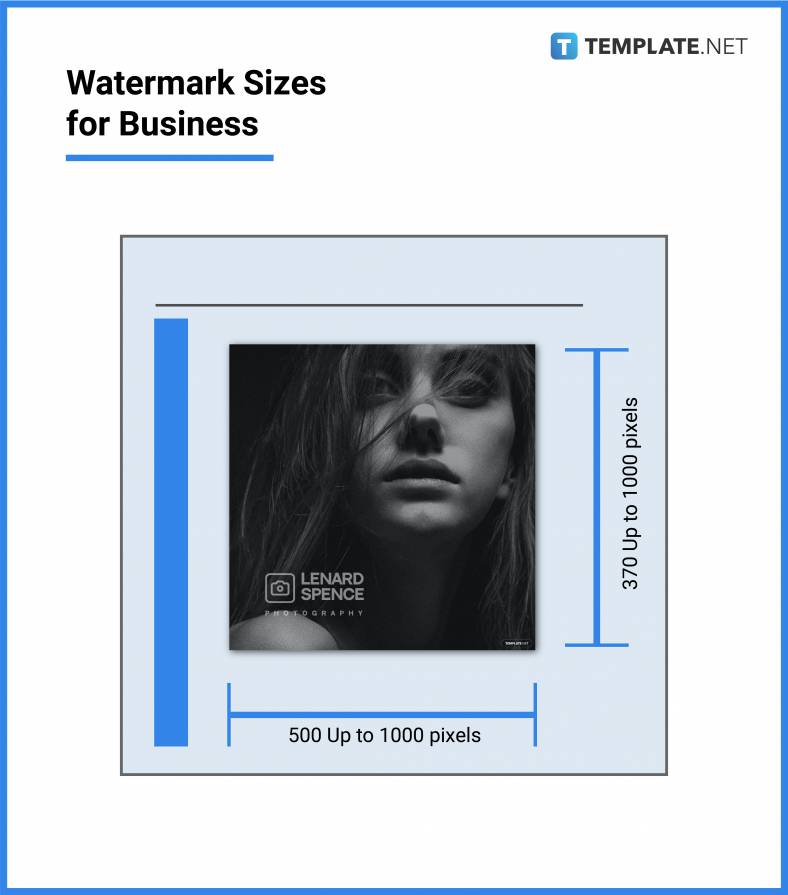 watermark sizes for business 788x