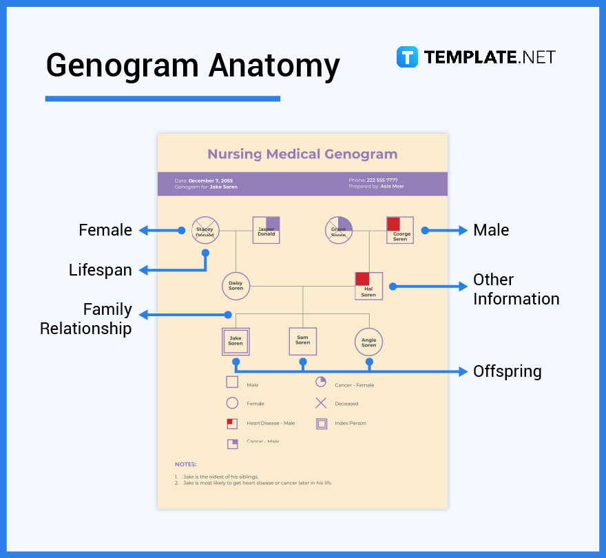 whats-in-a-genogram-parts