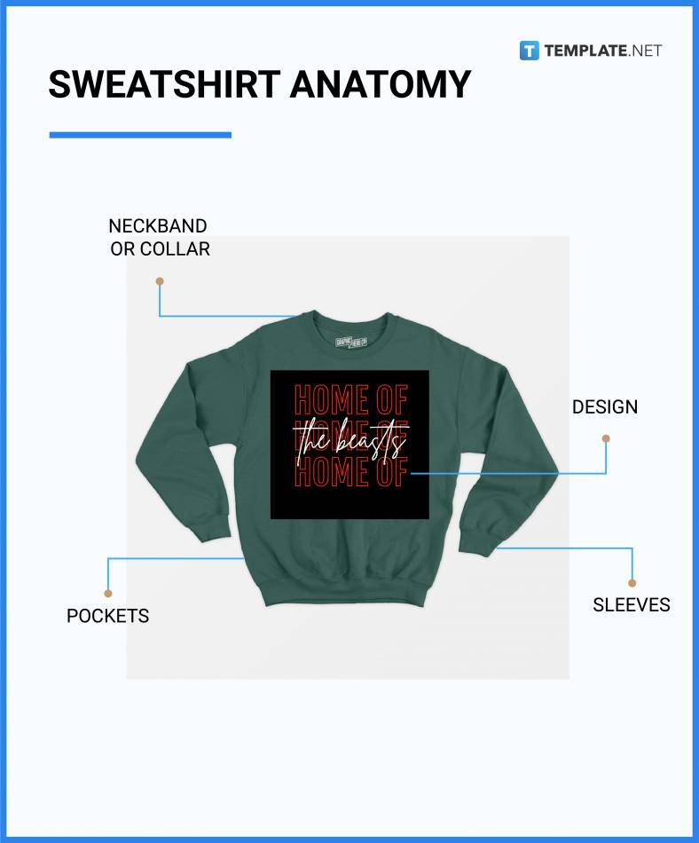 Sweatshirt What Is a Sweatshirt? Definition, Types, Uses