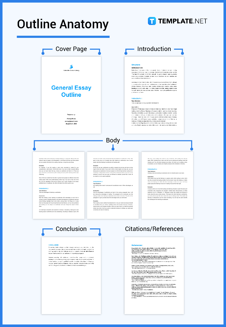 outline of essay meaning