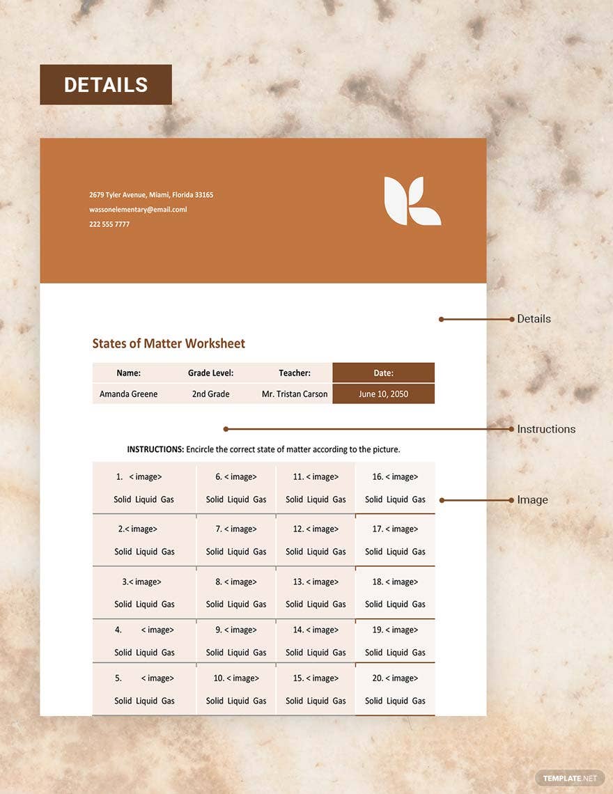 basic states of matter worksheet