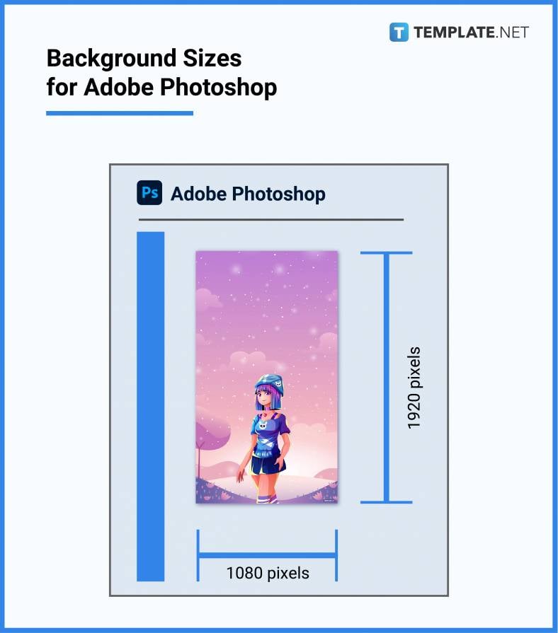 background sizes for adobe photoshop 788x