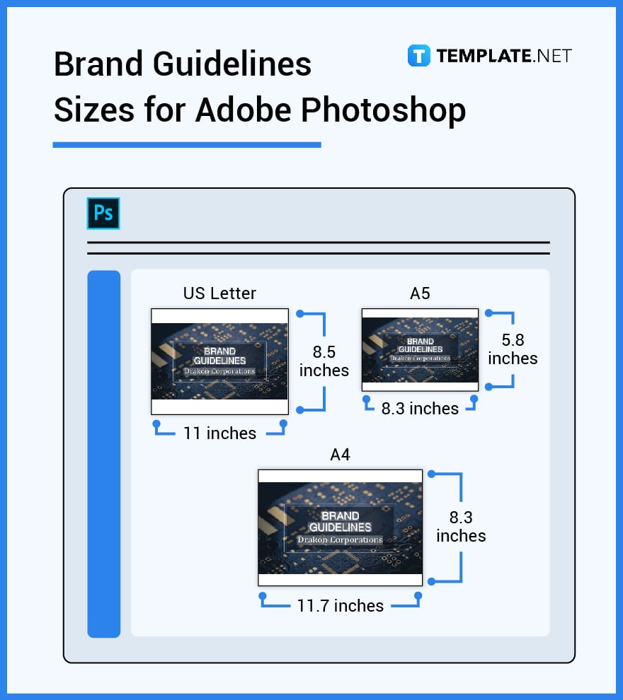 brand guidelines sizes for adobe photoshop