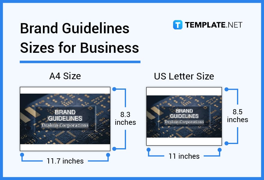 brand guidelines sizes for business